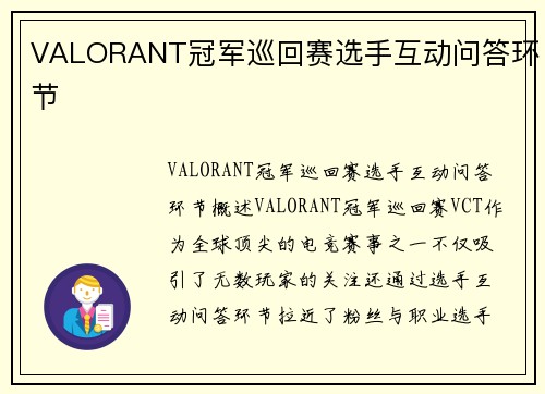 VALORANT冠军巡回赛选手互动问答环节