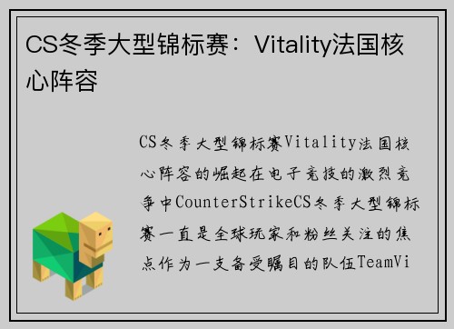 CS冬季大型锦标赛：Vitality法国核心阵容