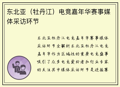 东北亚（牡丹江）电竞嘉年华赛事媒体采访环节