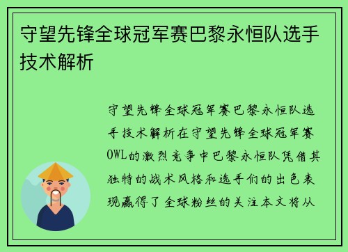 守望先锋全球冠军赛巴黎永恒队选手技术解析